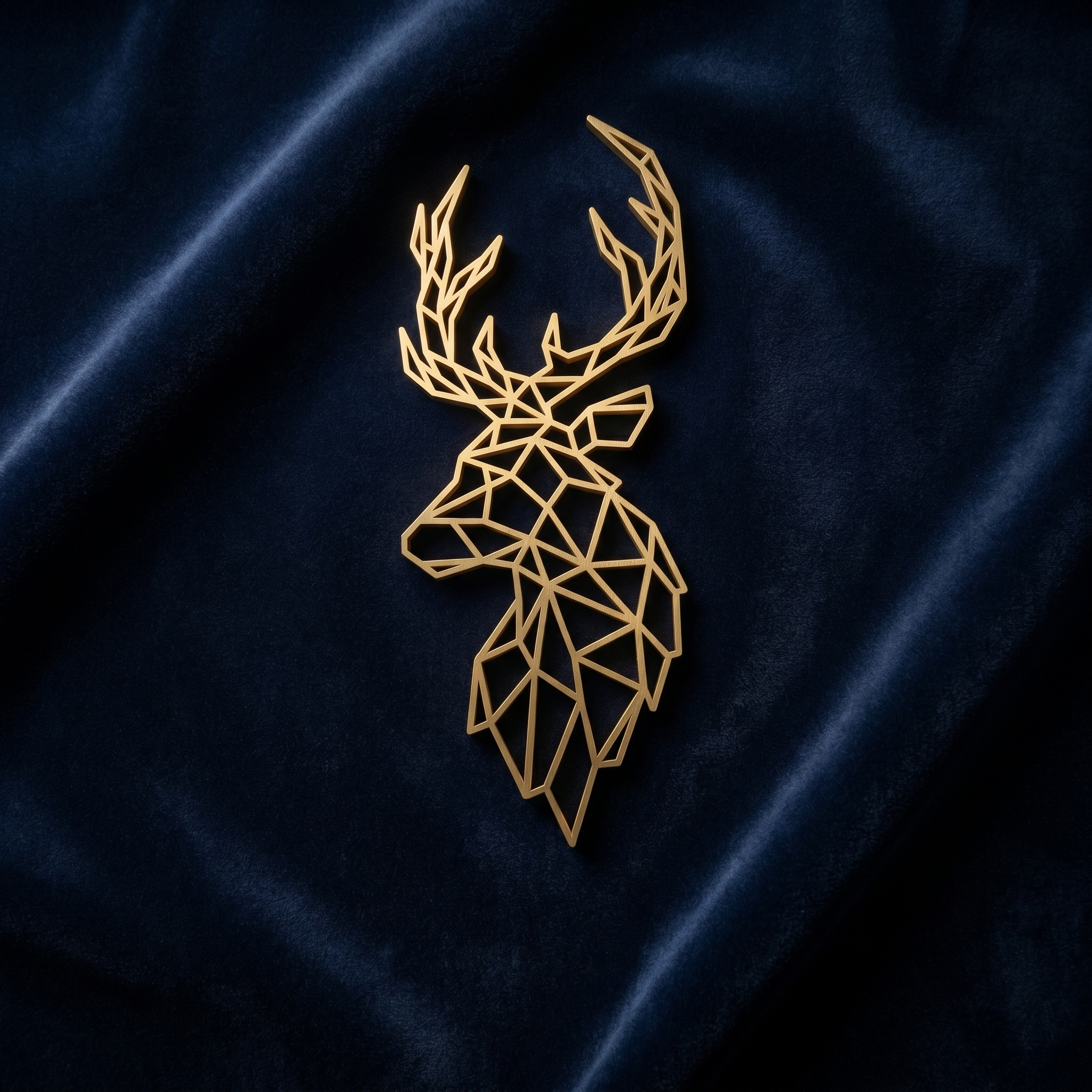 Deerc Studio premium AI studio